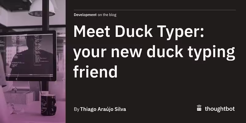 Meet Duck Typer: your new duck typing friend